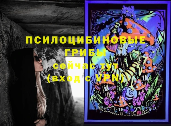 круглые Ельня