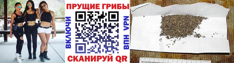 Галлюциногенные грибы ЛСД  Купить  Почеп 
